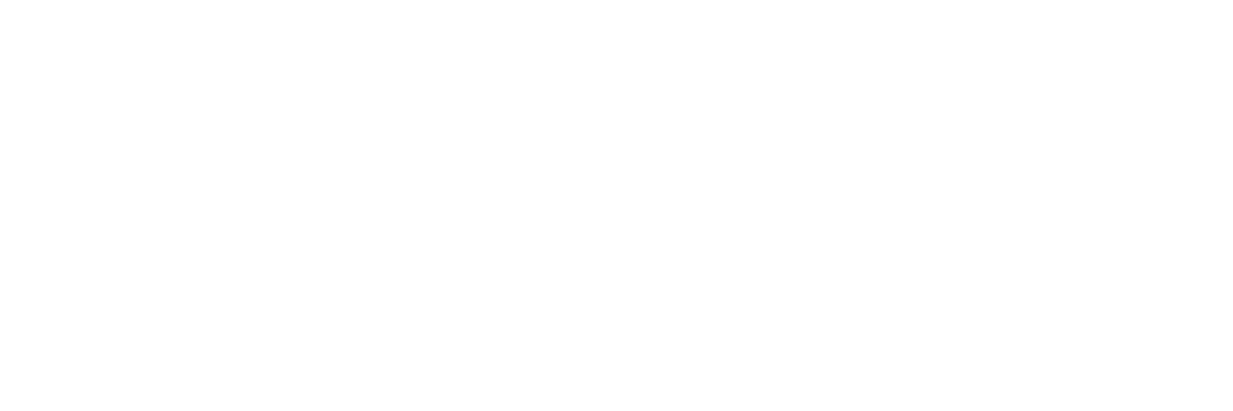 PokePro white logo